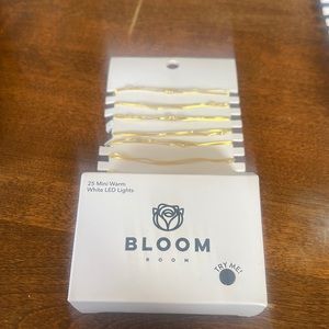 Bloom Room 25 ct LED Mini Gold Wire w/ Warm White String Lights